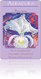 AERACURA（アエラキュラ）