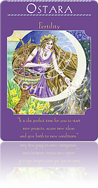 OSTARA（オスタラ）