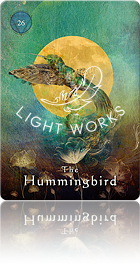 The Hummingbird（ハチドリ）