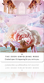THE EVER - UNFOLDING ROSE（永遠に咲き続けるバラ）