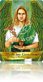 Medicine Guardian（メディスンガーディアン（ガーディアンとメッセンジャー））