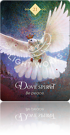 Dove Spirit（ハトのスピリット）