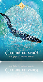 Electric Eel Spirit（電気ウナギのスピリット）