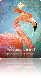 Flamingo Spirit（フラミンゴのスピリット）
