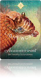 Armadillo Spirit（アルマジロのスピリット）