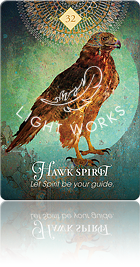 Hawk Spirit（タカのスピリット）