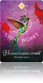Hummingbird Spirit（ハチドリのスピリット）