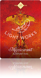 Moth Spirit（蛾のスピリット）