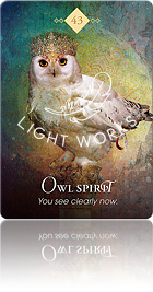 Owl Spirit（フクロウのスピリット）