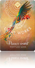 Parrot Spirit（オウムのスピリット）