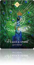 Peacock Spirit（クジャクのスピリット）