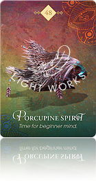Porcupine Spirit（ヤマアラシのスピリット）
