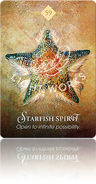 Starfish Spirit（ヒトデのスピリット）