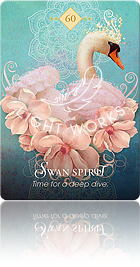 Swan Spirit（白鳥のスピリット）