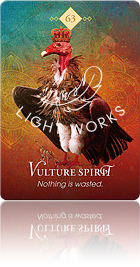 Vulture Spirit（ハゲワシのスピリット）