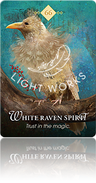 White Raven Spirit（白いワタリガラスのスピリット）