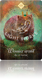 Wombat Spirit（ウォンバットのスピリット）