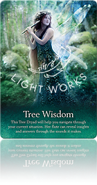 Tree Wisdom（木の英知）