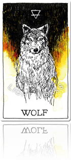 WOLF（オオカミ）