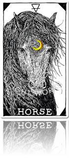 HORSE（ウマ）