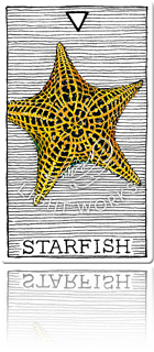 STARFISH（ヒトデ）