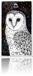 OWL（フクロウ）