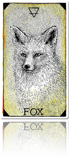 FOX（キツネ）