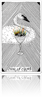 son of cups（カップの息子）