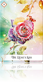 The Rose’s Kiss（薔薇にキスする）