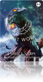 Perfect Storm（完璧な嵐）