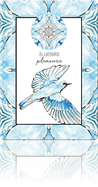 BLUEBIRD - PLEASURE（ブルーバード：満足感（風））