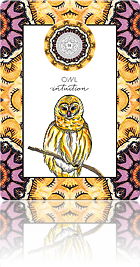OWL - INTUITION（フクロウ：直感（スピリット））