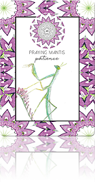 PRAYING MANTIS - PATIENCE（カマキリ：忍耐（スピリット））