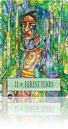 11：FOREST TEARS（森の涙）