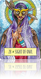 28：SIGHT OF OWL（フクロウの目）