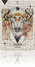 TAURUS（牡牛座）