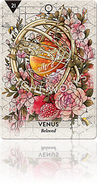 VENUS（金星）