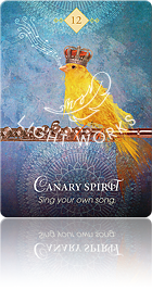 Canary Spirit（カナリアのスピリット）