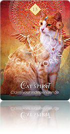 Cat Spirit（ネコのスピリット）