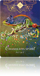 Chameleon Spirit（カメレオンのスピリット）