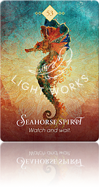 Seahorse Spirit（タツノオトシゴのスピリット）