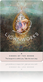 CODES OF THE SEEDS（種の情報）