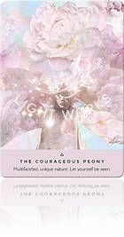 THE COURAGEOUS PEONY（凛として咲くシャクヤク）