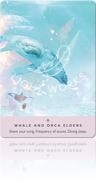 WHALE AND ORCA ELDERS（クジラとシャチ）