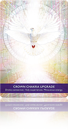Crown Chakra Upgrade（クラウンチャクラのアップグレード）