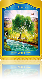 the WILLOW（フォースの２：柳）