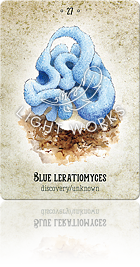 BLUE LERATIOMYCES（ブルーレラチオミケス）