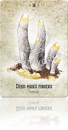 DEAD MAN’S FINGERS（マメザヤタケ）