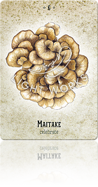 MAITAKE（マイタケ）