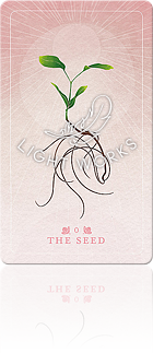 ０ THE SEED（種）